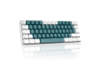 ZIYOU LANG T60 60% Mechanical Keyboard - Green / Blue Switch